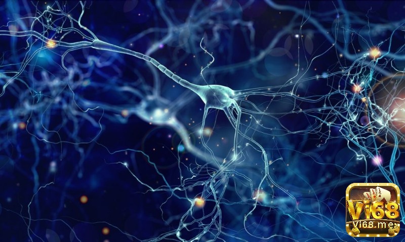 Game trí tuệ trên PC Brain Age: Neural Connection